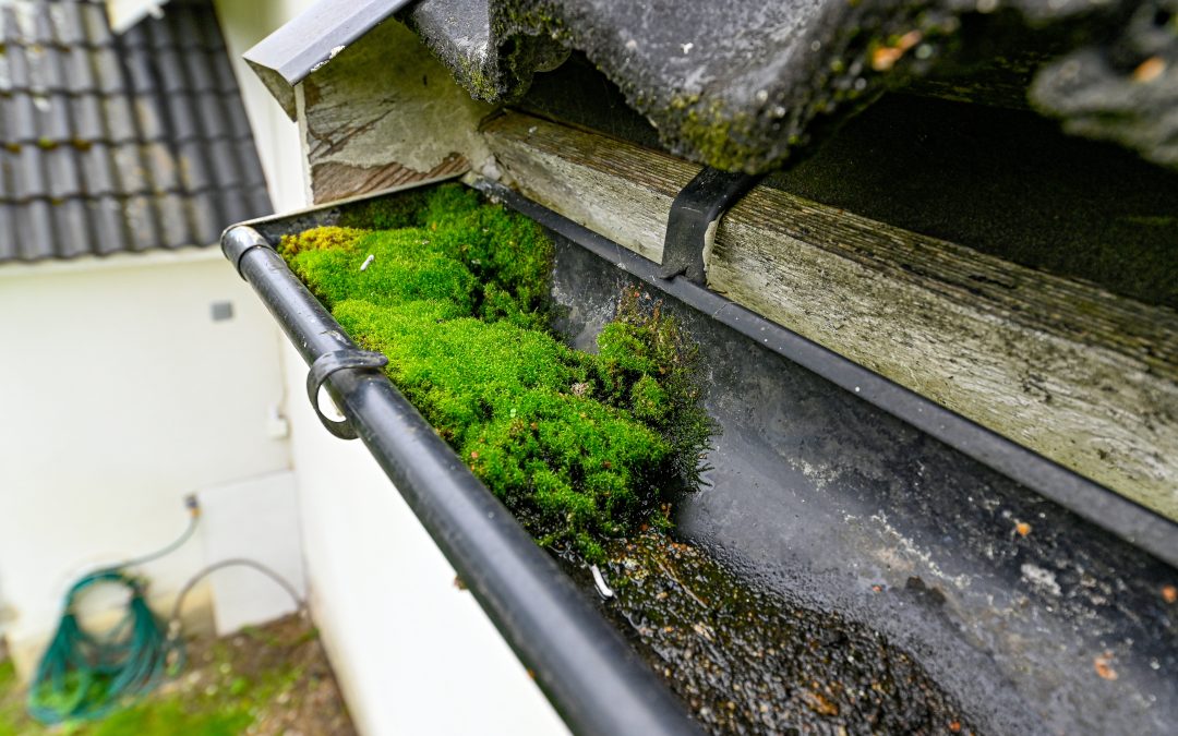 Bubbling under roof