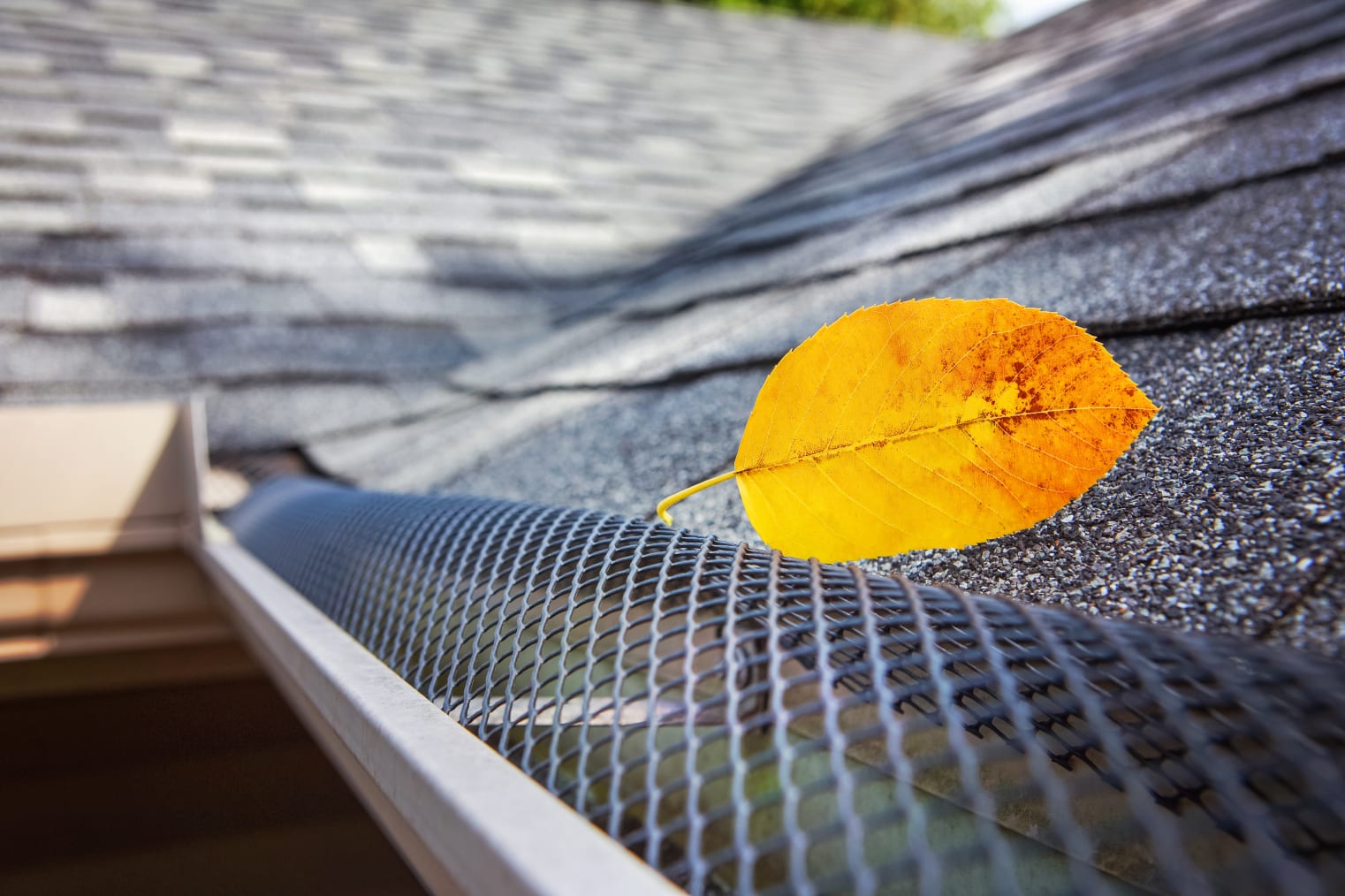 Installing Asphalt Shingle Roof