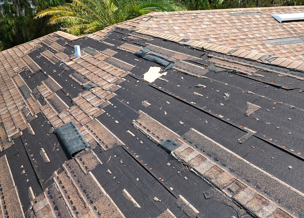 Missing Shingles from Wind Damage