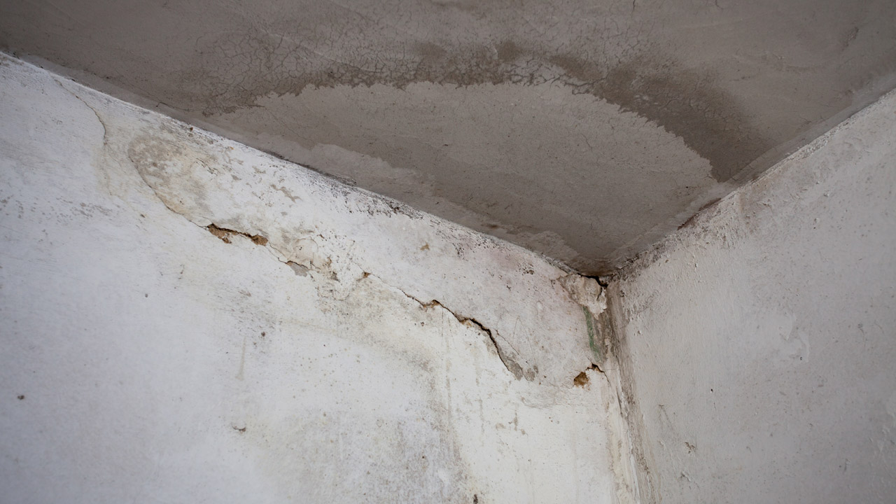 Stains on Walls or Ceiling