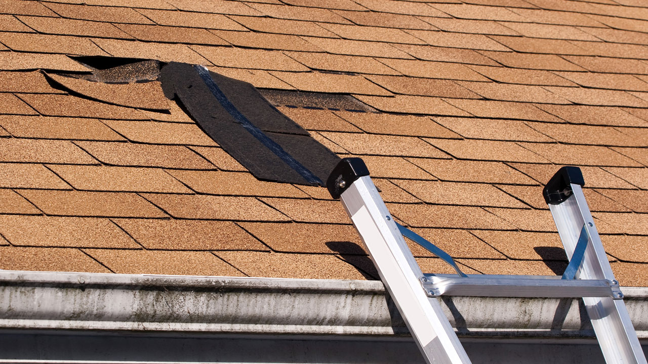 Why Choose a Professional Residential Roofer?