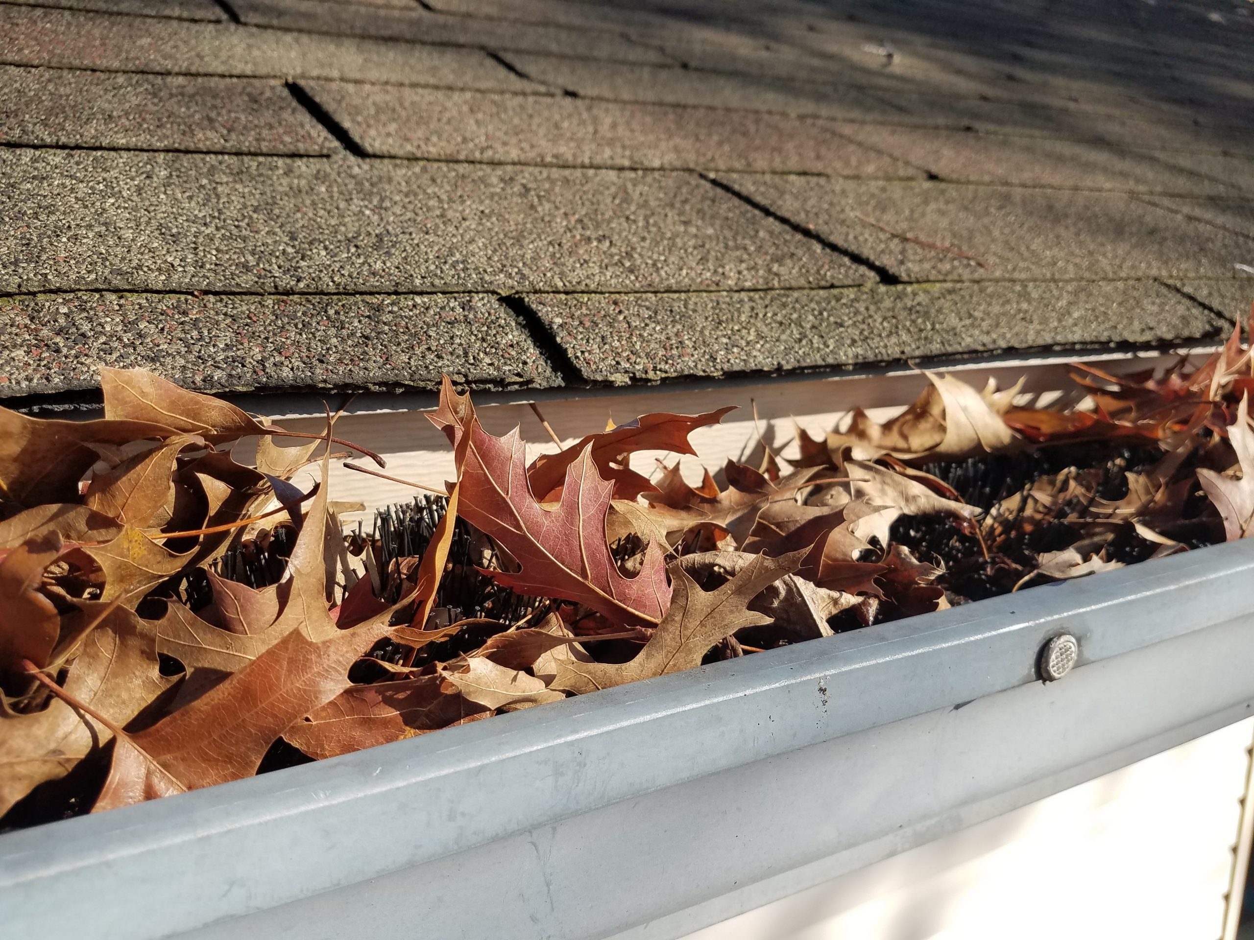 Gutter full of leaves