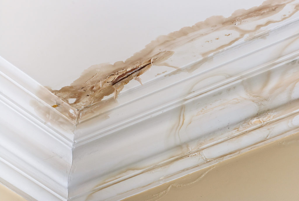 Clogged Gutters