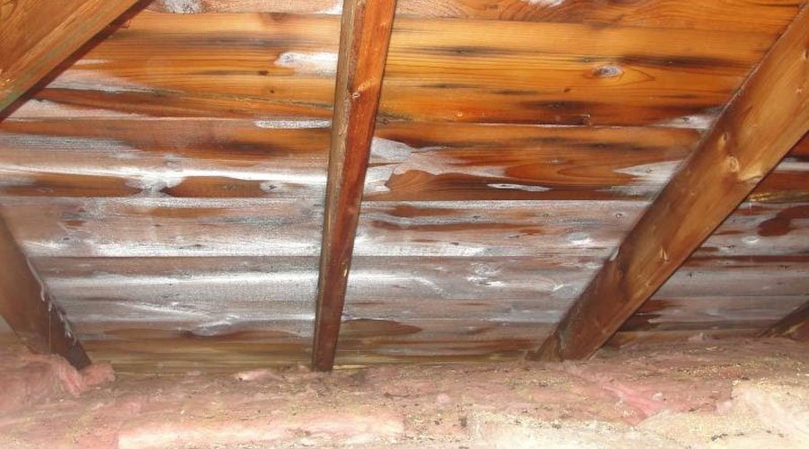 Installing Asphalt Shingle Roof