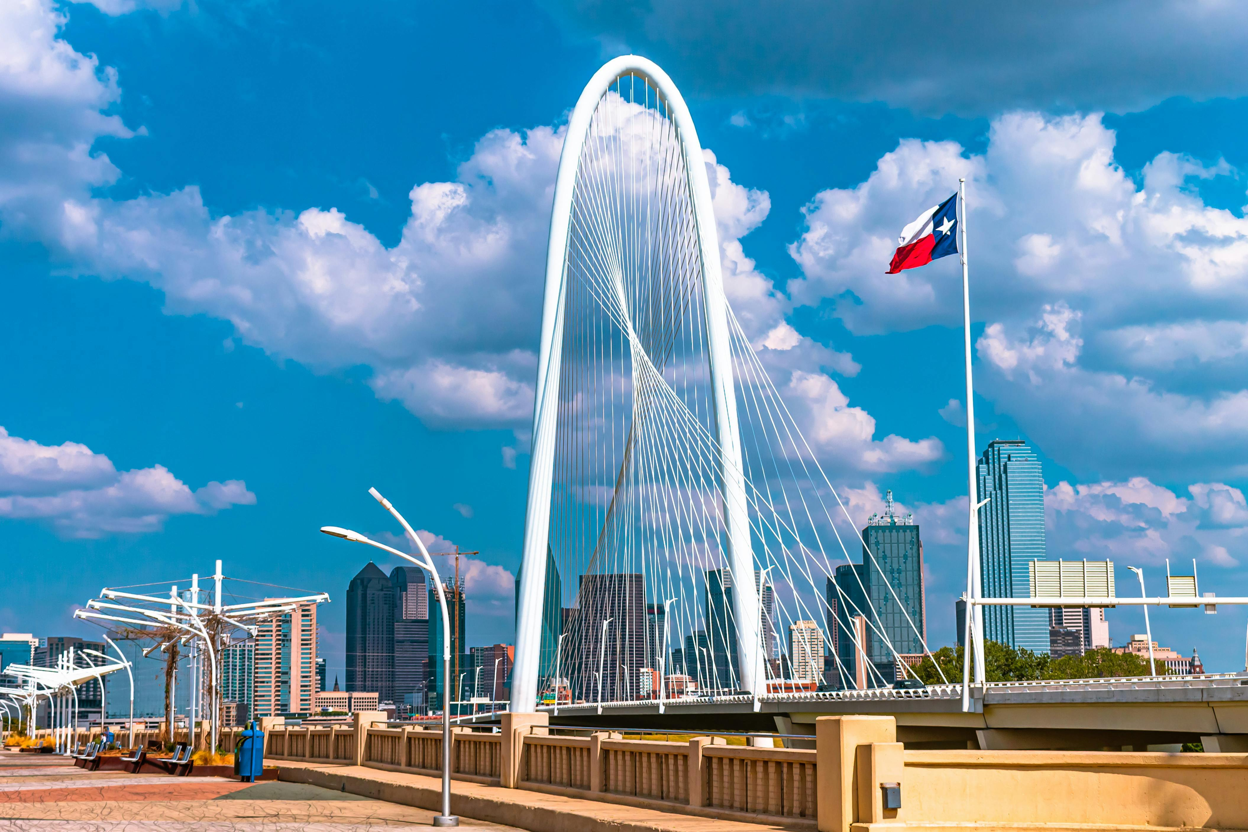Houston Skyline
