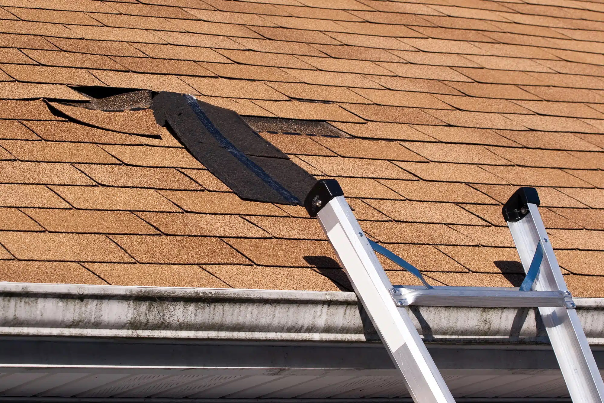 Installing Asphalt Shingle Roof