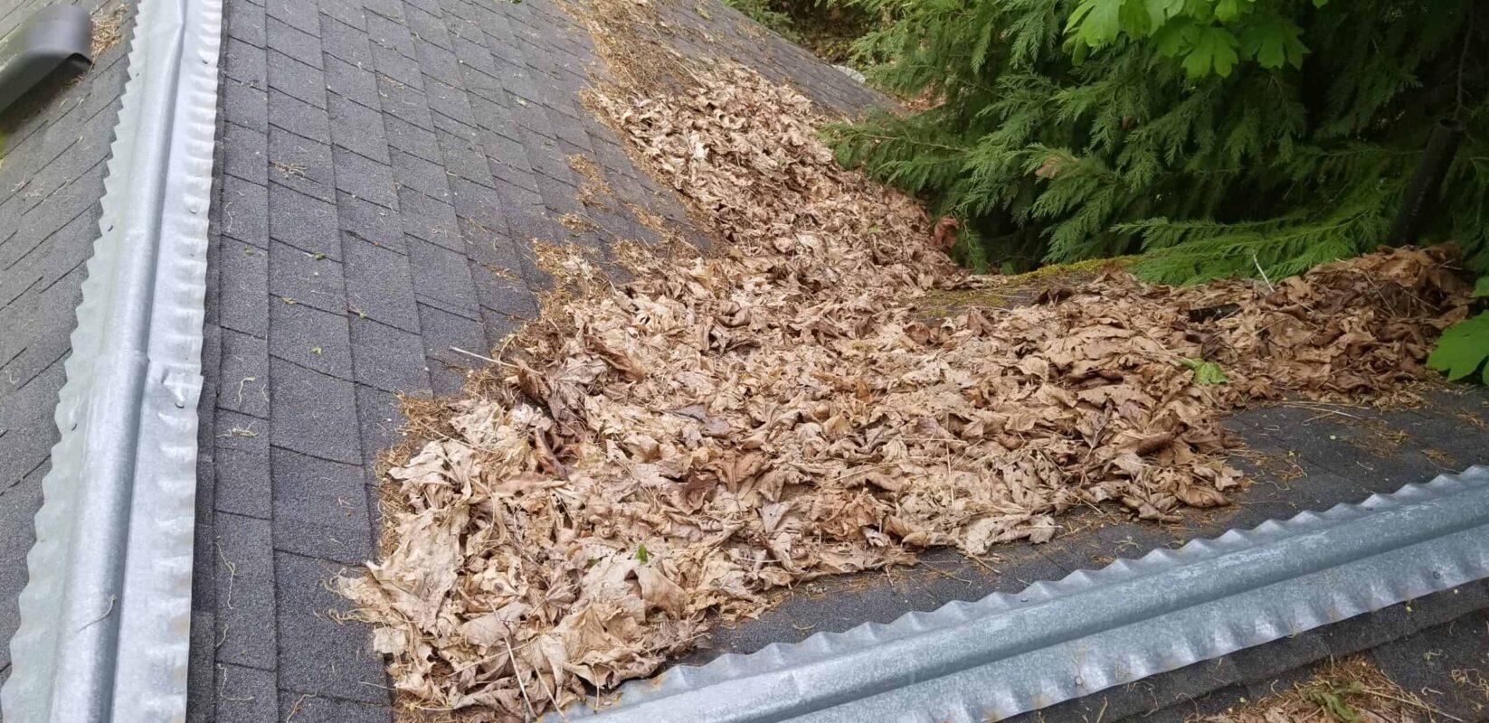 Installing Asphalt Shingle Roof