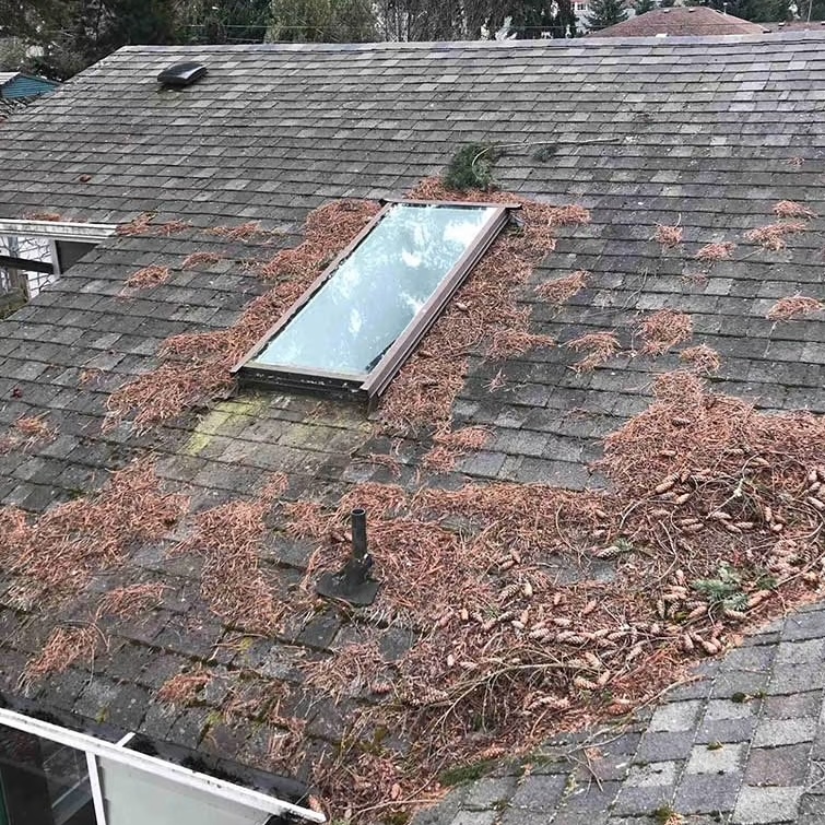 Closeup of metal roof