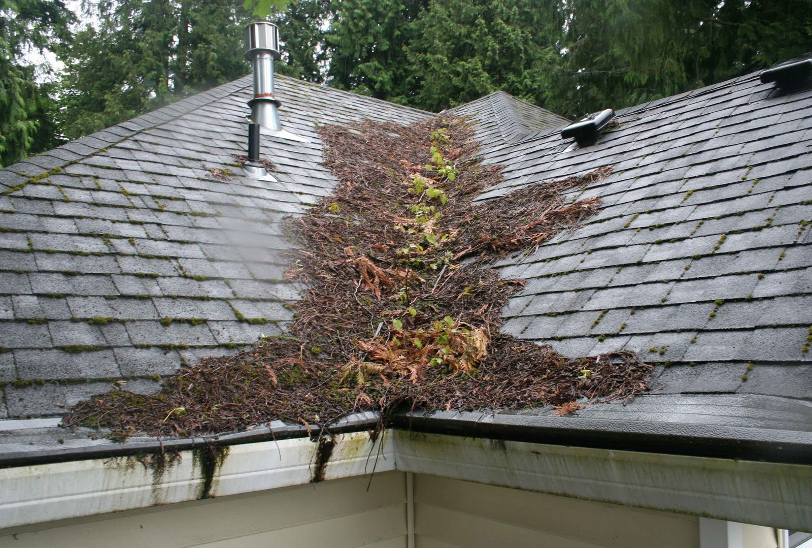 Installing Asphalt Shingle Roof