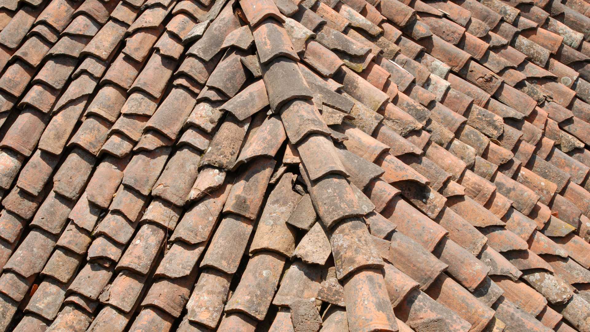 Installing Asphalt Shingle Roof