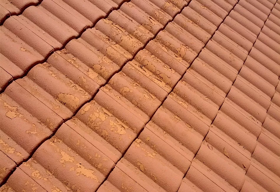 Installing Asphalt Shingle Roof