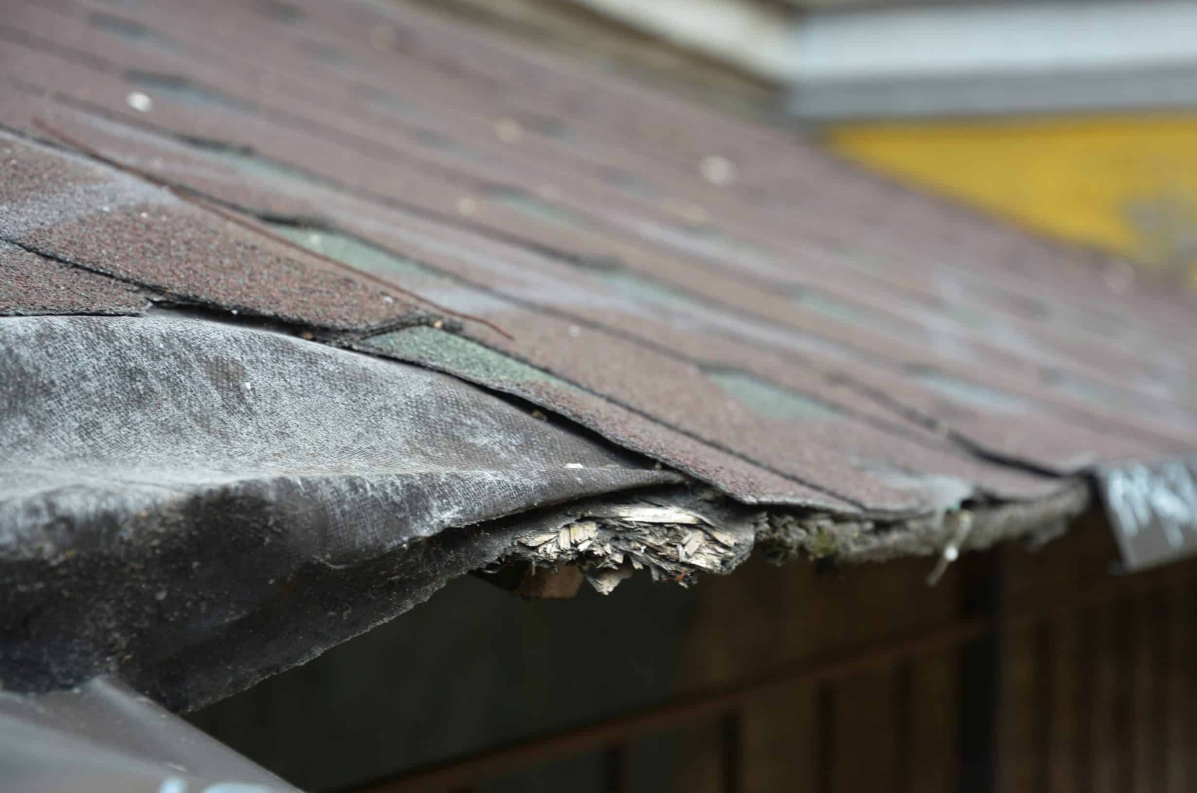 Installing Asphalt Shingle Roof