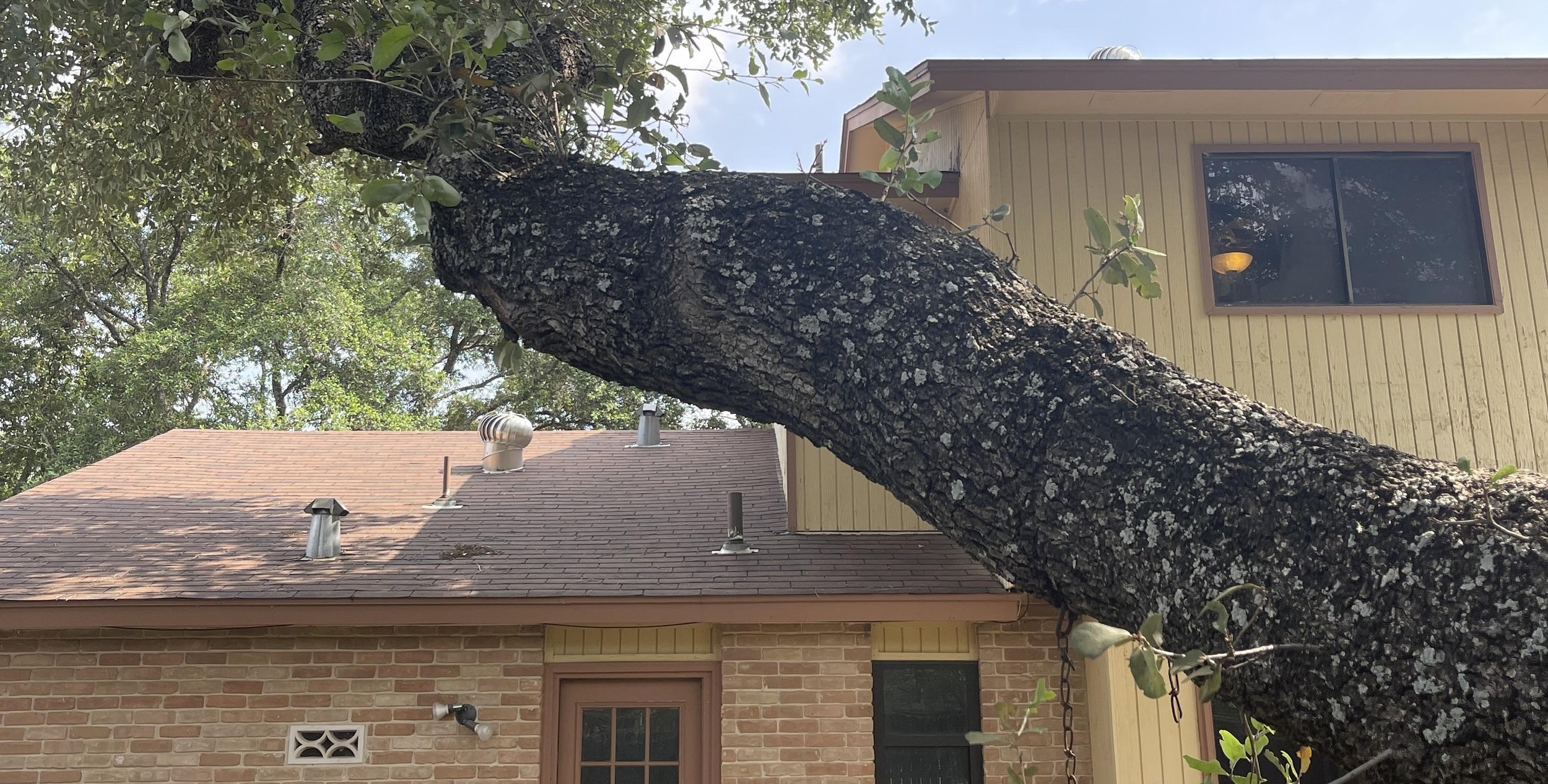 Installing Asphalt Shingle Roof