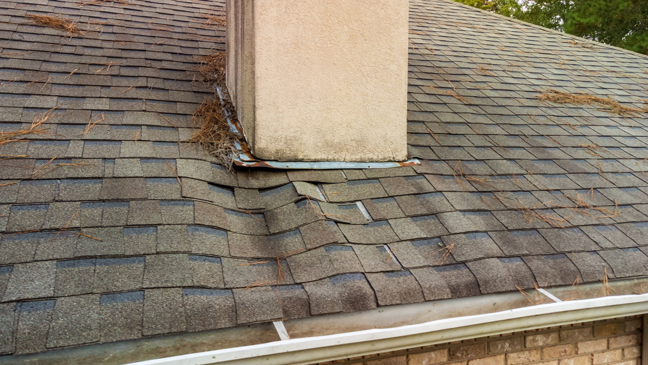 Visible Roof Damage