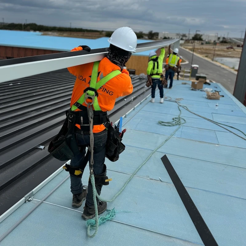 Metal Roofing